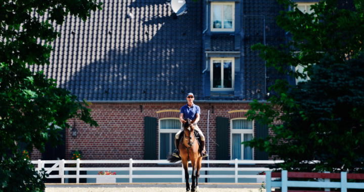 Weltpremiere: Hetzel Horses startet Online-Auktion für Pferde bis 100.000 EUR