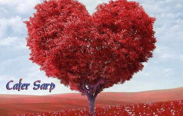 Einmal Himmel Einmal Hölle, die Single von Cafer Sarp