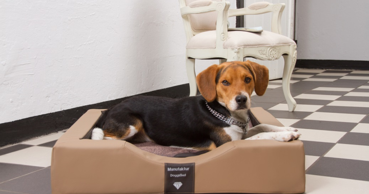 Das DoggyBed – jetzt auch innen belüftet