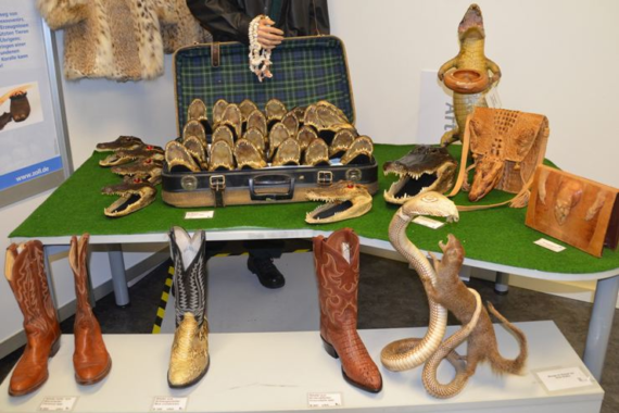 Hände weg von exotischen Souvenirs