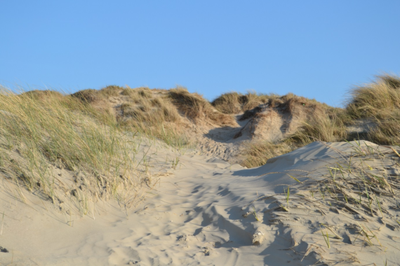 Urlaub an der Nordseeküste im exklusiven Ferienhaus