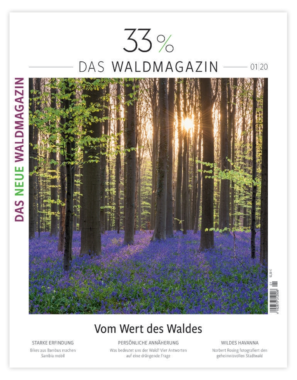Neues Waldmagazin am Start