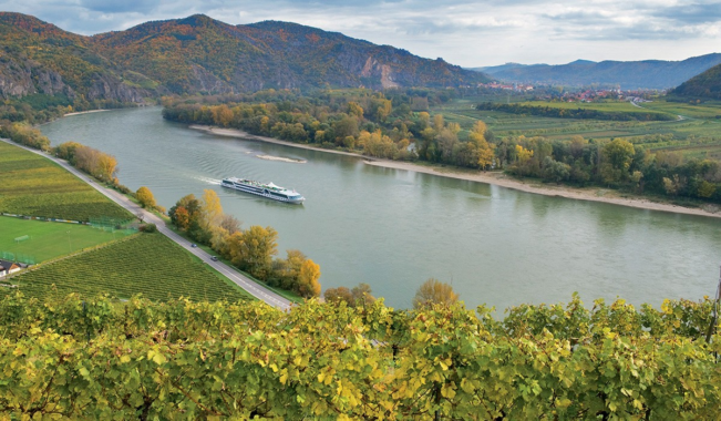 BEST OF Grüner Veltliner