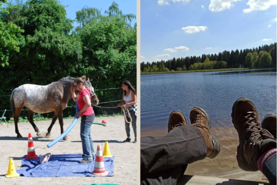 Das Fichtelgebirge ruft: Familienharmonie durch Pferdecoaching