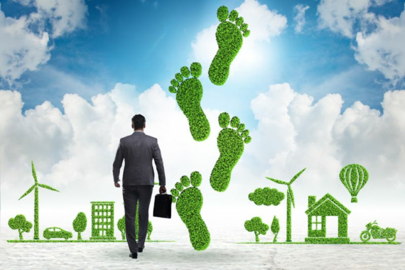 Verbraucherschutz bei der CO2-Kompensation