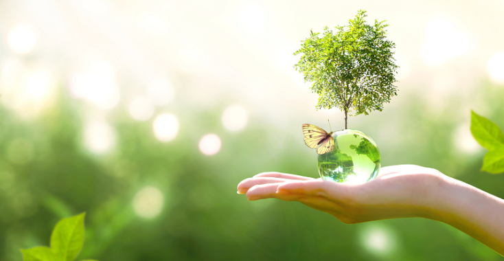 Bei uns in der Agentur wird Klimaschutz großgeschrieben