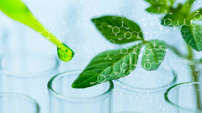 BionFarming: Pflanzenrevolution in der Biotech-Welt