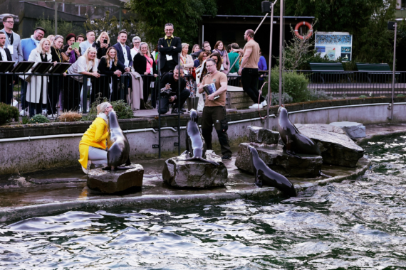 Warum ist Networking in einem Zoo so einzigartig? ILLERHAUS hat die Antwort!